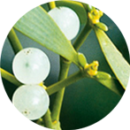 GBT Pharma’s Products