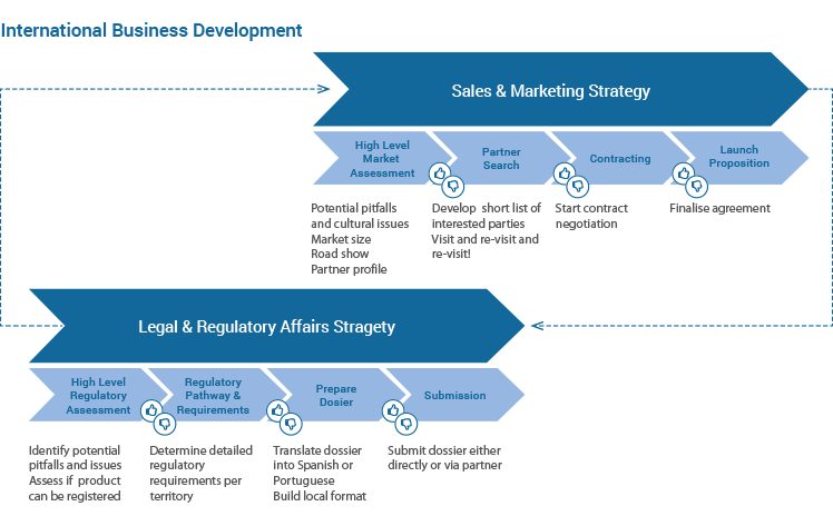 International Business Development